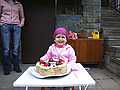 photo No. 13