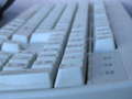 photo No. 48