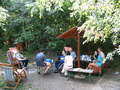 photo No. 11