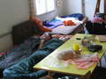 photo No. 13